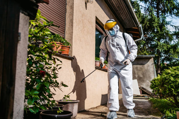 Professional Pest Control in Clinton, IL