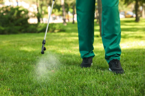 Best Best Pest Control Companies  in Clinton, IL