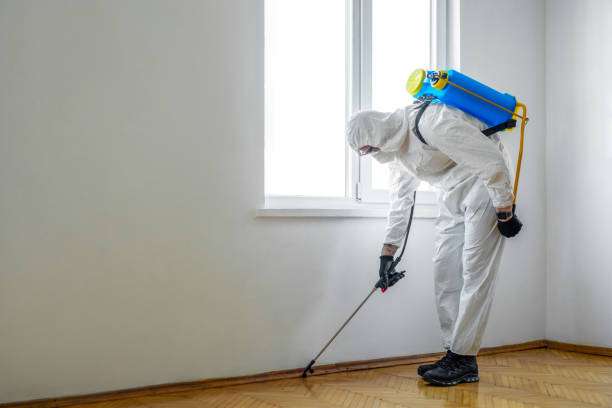 Best Pest Removal Services  in Clinton, IL