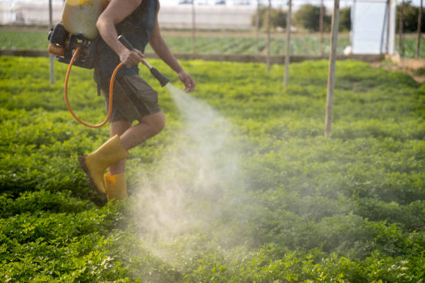 Best Commercial Pest Control Services  in Clinton, IL