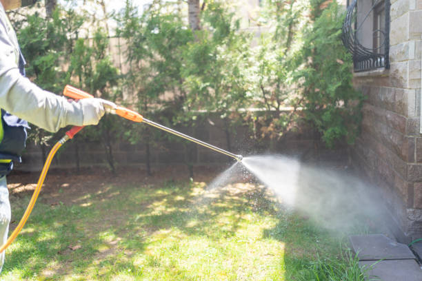 Best Wasp Removal Services  in Clinton, IL