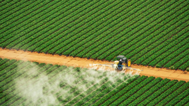 Best Termite Control Services  in Clinton, IL