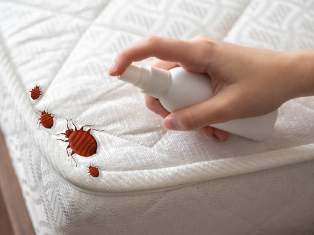Best Pest Control for Businesses  in Clinton, IL