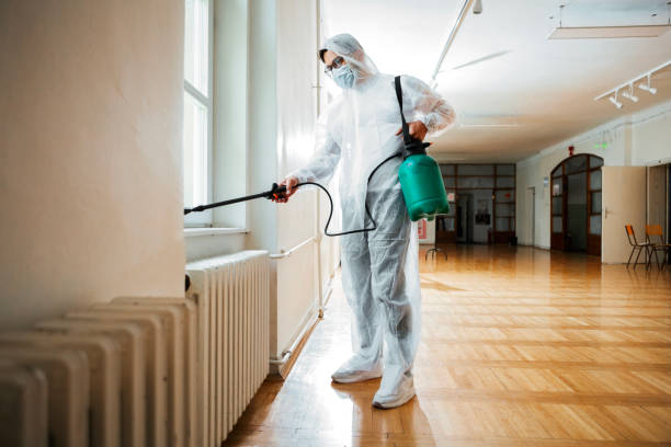 Reliable Clinton, IL Pest Control Solutions