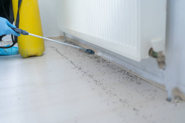Best Best Pest Control Companies  in Clinton, IL