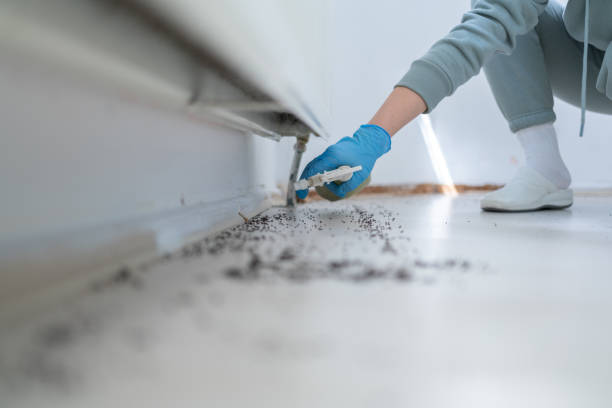 Best Cockroach Control Services  in Clinton, IL